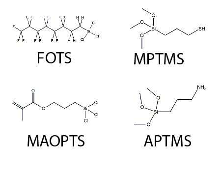 MVD Precursors