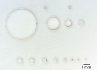 Array of through holes