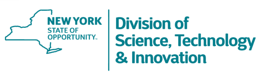 NYS DSTI Logo
