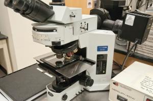Olympus BX51 Fluorescence Microscope