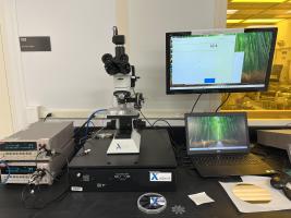 Xallent Nanoprobe